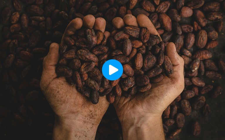 Lasseaucolaterie-chocolatier-quimper-kerprod