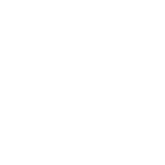 honda-brest